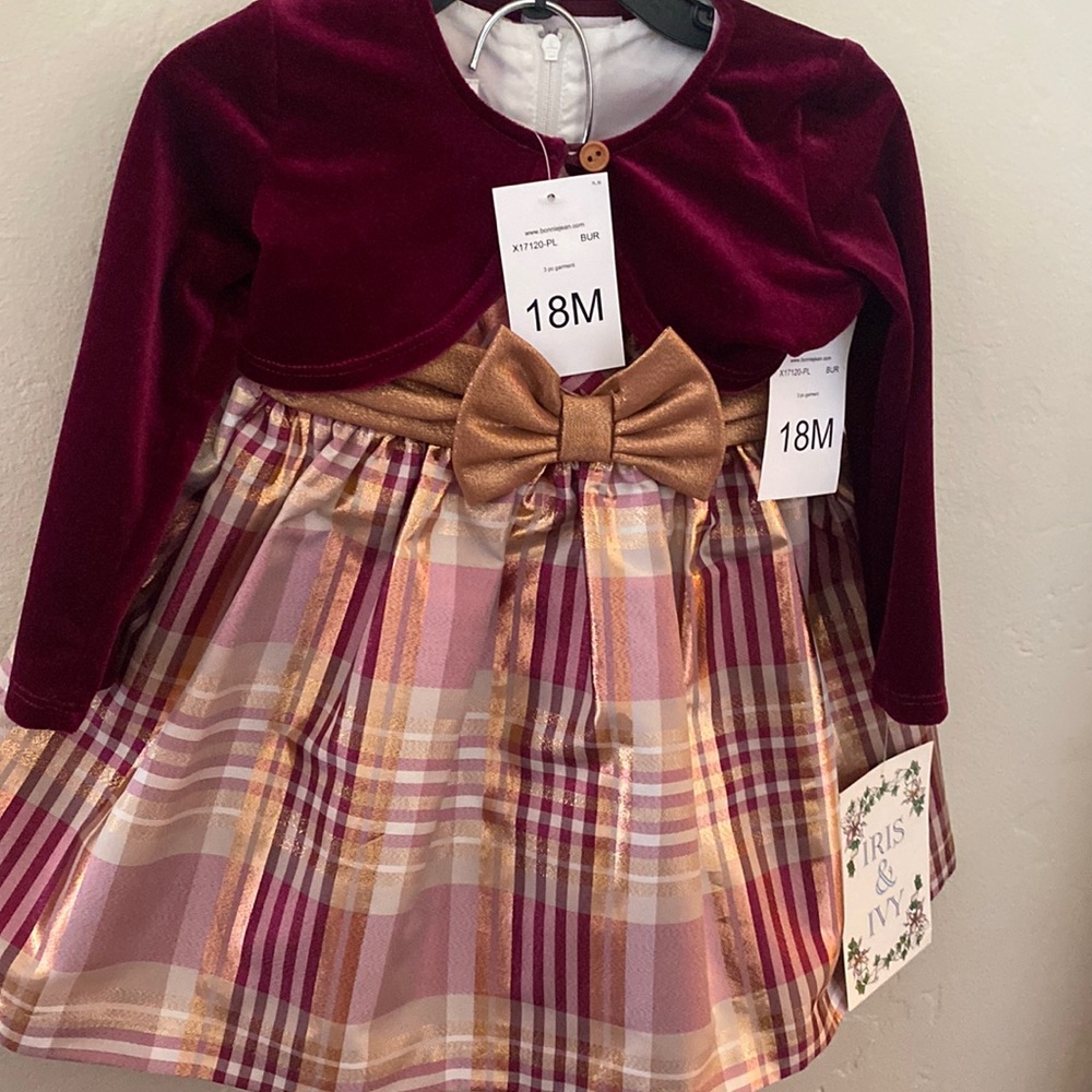 Burgundy Iris & Ivy 18M Dress (never worn)